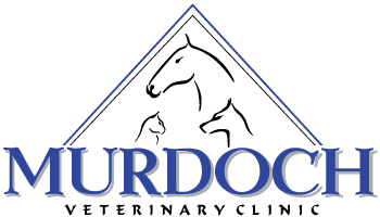 Contact Thank - Murdoch Veterinary Clinic